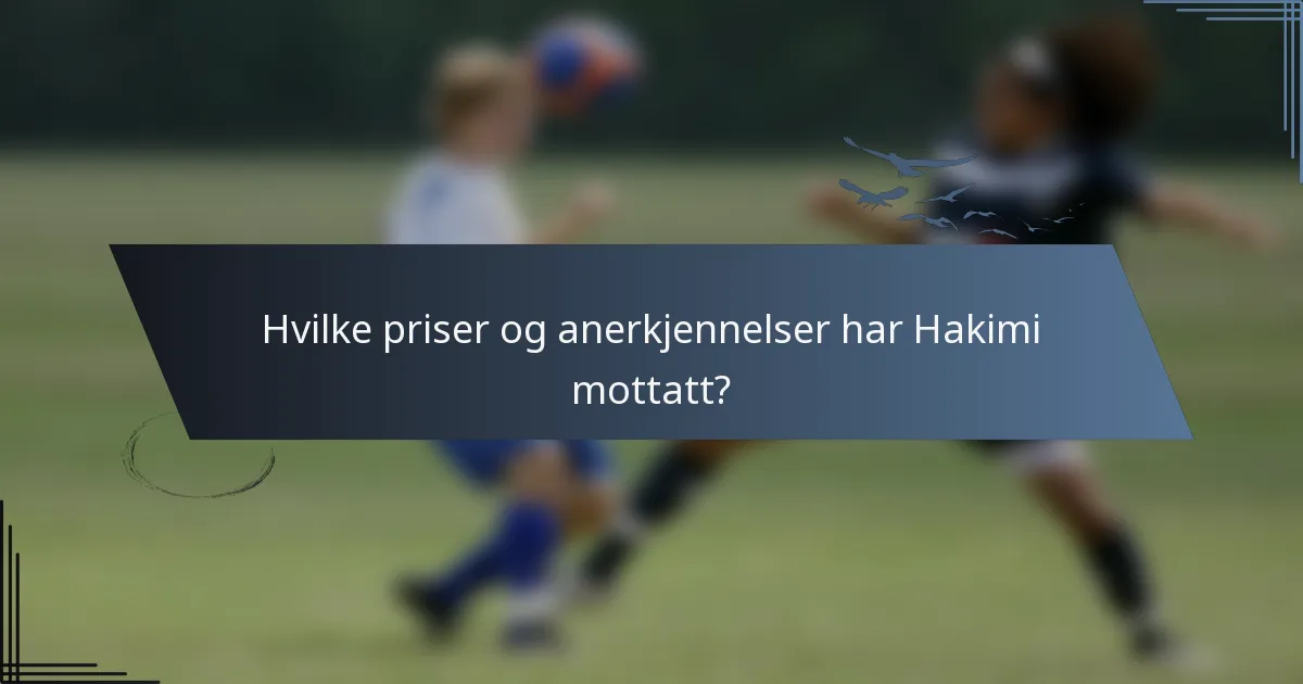 Hvilke priser og anerkjennelser har Hakimi mottatt?